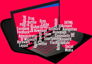 开云体育登录入口-CBA开展球员社交媒体管理课程提高职业素养，运动员社交媒体