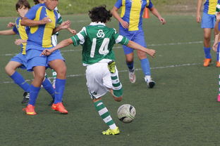 开云官方网-中国足球国家队备战友谊赛调整战术策略，国足 友谊赛